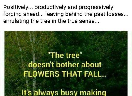 Lessons from a tree